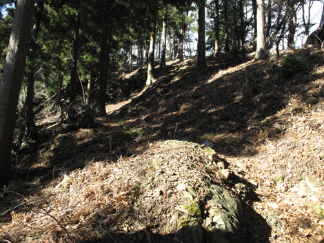 20170113hike (58)